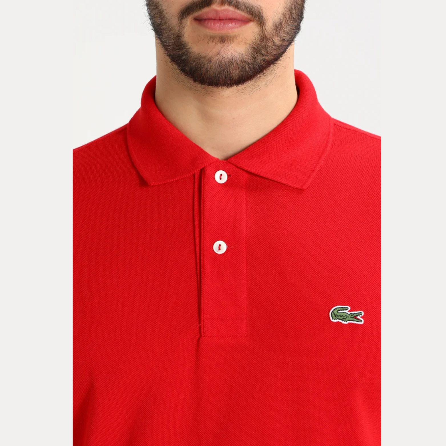 Regular Fit Polo Shirt